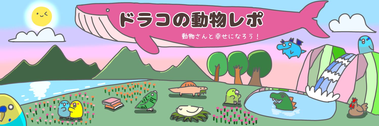 ドラコの動物レポ